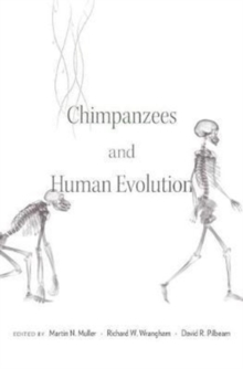 Image for Chimpanzees and Human Evolution