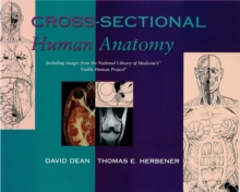 Image for Cross sectional human anatomy