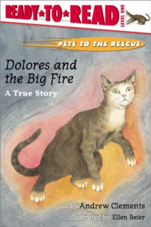 Image for Dolores and the Big Fire