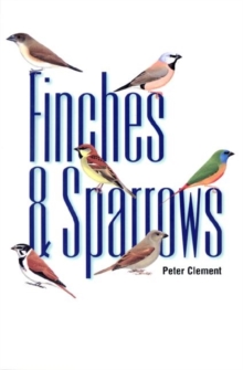Image for Finches and Sparrows