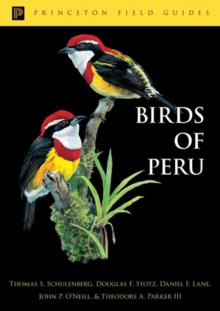 Image for Guide to the Birds of Peru