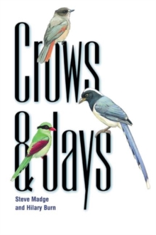 Image for Crows and Jays