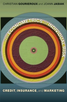 Image for The Econometrics of Individual Risk : Credit, Insurance, and Marketing