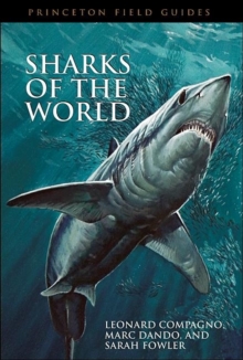 Image for Sharks of the World