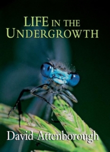 Image for Life in the Undergrowth
