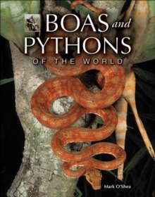 Image for Boas and Pythons of the World