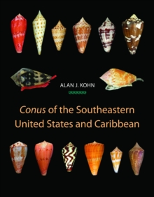 Image for Conus of the Southeastern United States and Caribbean