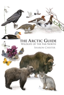 Image for The Arctic Guide