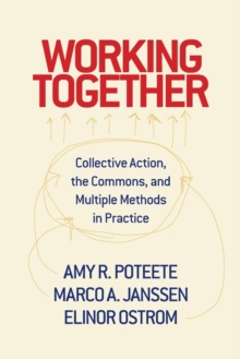 Working Together: Collective Action, the Commons, and Multiple Methods in Practice