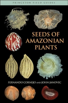 Image for Seeds of Amazonian Plants