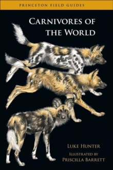 Image for Carnivores of the World
