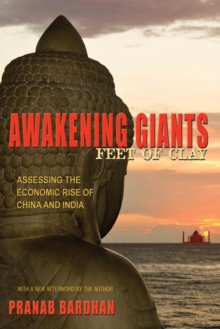 Image for Awakening giants, feet of clay  : assessing the economic rise of China and India