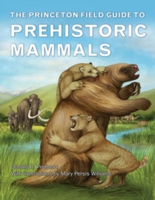 Image for The Princeton Field Guide to Prehistoric Mammals
