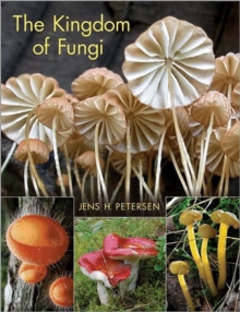 Image for The Kingdom of Fungi