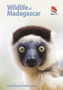Image for Wildlife of Madagascar
