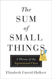 Image for The Sum of Small Things
