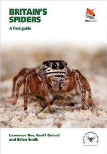 Image for Britain's spiders  : a field guide