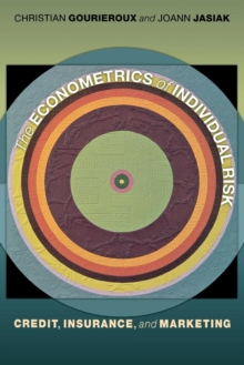 Image for The econometrics of individual risk  : credit, insurance, and marketing