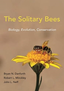 Image for The Solitary Bees : Biology, Evolution, Conservation