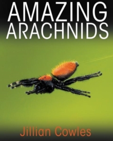 Image for Amazing Arachnids