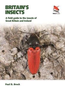 Image for Britain's insects  : a field guide to the insects of Great Britain and Ireland