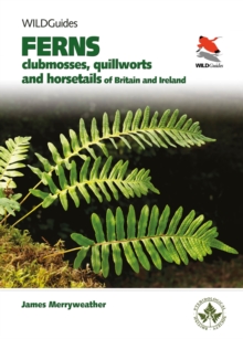 Image for Britain's ferns, clubmosses, quillworts, and horsetails  : a field guide