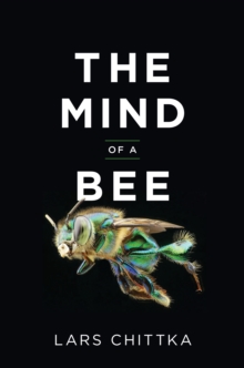 Mind of a Bee