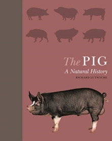 Image for The pig  : a natural history