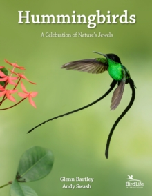 Hummingbirds: A Celebration of Nature’s Jewels