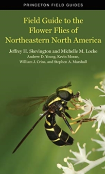 Image for Field Guide to the Flower Flies of Northeastern North America