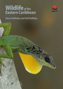 Image for Wildlife of the Eastern Caribbean