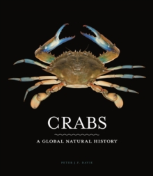 Crabs: A Global Natural History