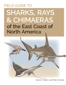 Image for Field Guide to Sharks, Rays and Chimaeras of the East Coast of North America