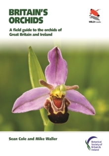 Image for Britain's Orchids: A Field Guide to the Orchids of Great Britain and Ireland