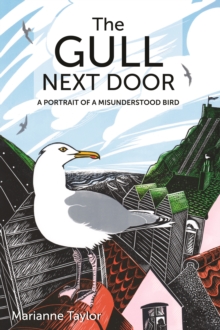 Image for The Gull Next Door : A Portrait of a Misunderstood Bird