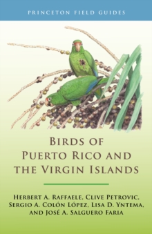 Image for Birds of Puerto Rico and the Virgin Islands