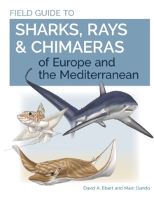 Image for Field Guide to Sharks, Rays & Chimaeras of Europe and the Mediterranean