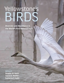 Image for Yellowstone's birds  : diversity and abundance in the world's first national park