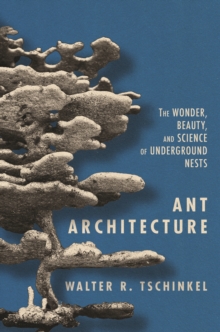 Image for Ant Architecture: The Wonder, Beauty, and Science of Underground Nests