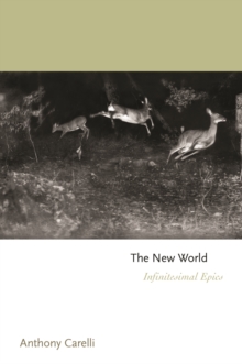 Image for The new world  : infinitesimal epics
