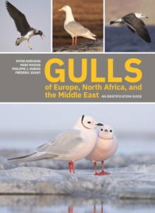 Gulls of Europe, North Africa, and the Middle East: An Identification Guide