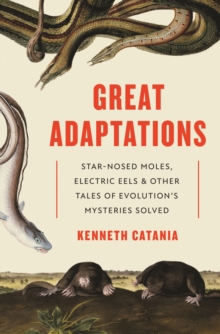 Image for Great adaptations  : star-nosed moles, electric eels, and other tales of evolution's mysteries solved