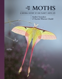 The Lives of Moths: A Natural History of Our Planet’s Moth Life