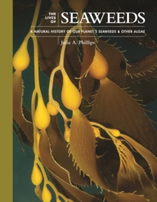 Image for The lives of seaweeds: a natural history of our planet's seaweeds and other algae