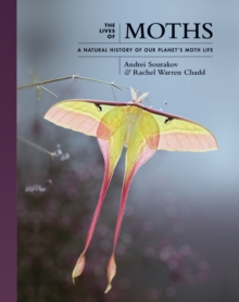 Image for The Lives of Moths: A Natural History of Our Planet's Moth Life