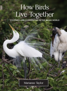 How Birds Live Together: Colonies and Communities in the Avian World