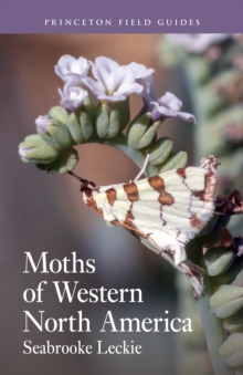 Image for Moths of Western North America