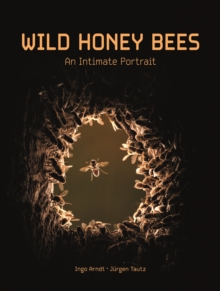 Image for Wild Honey Bees: An Intimate Portrait