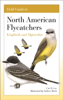 Field Guide to North American Flycatchers: Kingbirds and Myiarchus