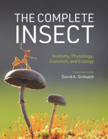 Image for The Complete Insect: Anatomy, Physiology, Evolution, and Ecology